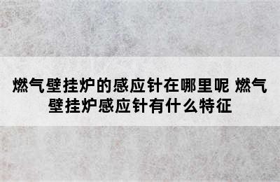 燃气壁挂炉的感应针在哪里呢 燃气壁挂炉感应针有什么特征